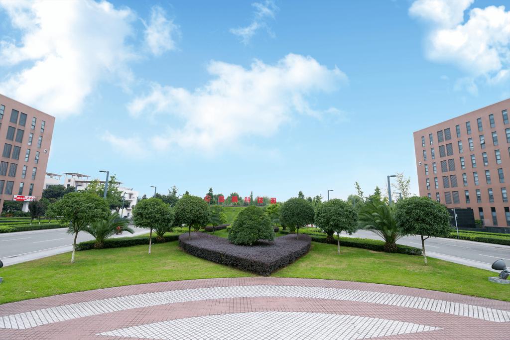 19CF7